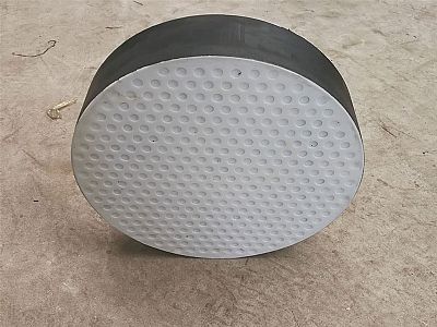 巴宜区四氟板式橡胶支座易于更换缓冲隔震